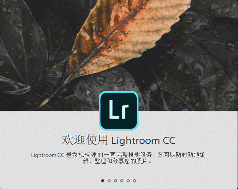 批量图像调整工具 Light Image Resizer v7.2.0.101便携版,官方最新版! 批量图像调整工具 Light Image Resizer v7.2.0.101便携版,官方最新版! - 腿腿教学网