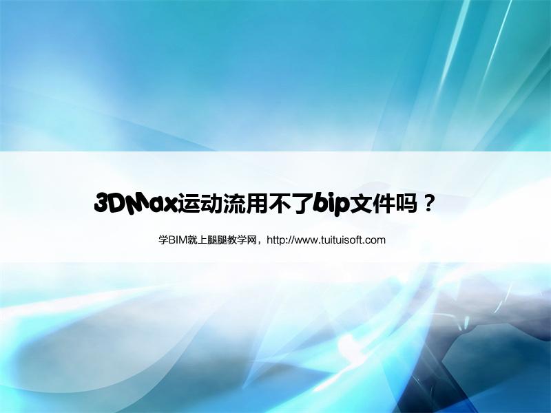 3DMax运动流用不了bip文件吗? 腿腿教学网-3DMax运动流用不了bip文件吗?