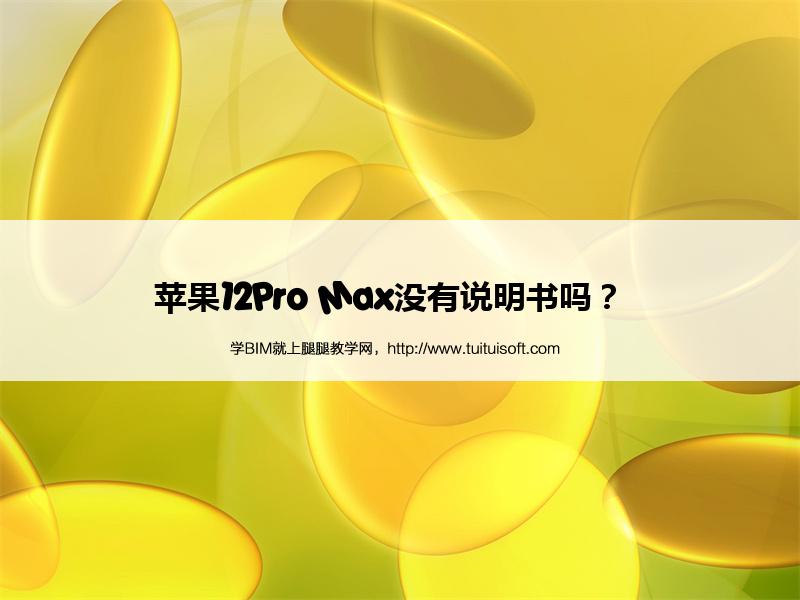 苹果12Pro Max没有说明书吗? 腿腿教学网-苹果12Pro Max没有说明书吗?