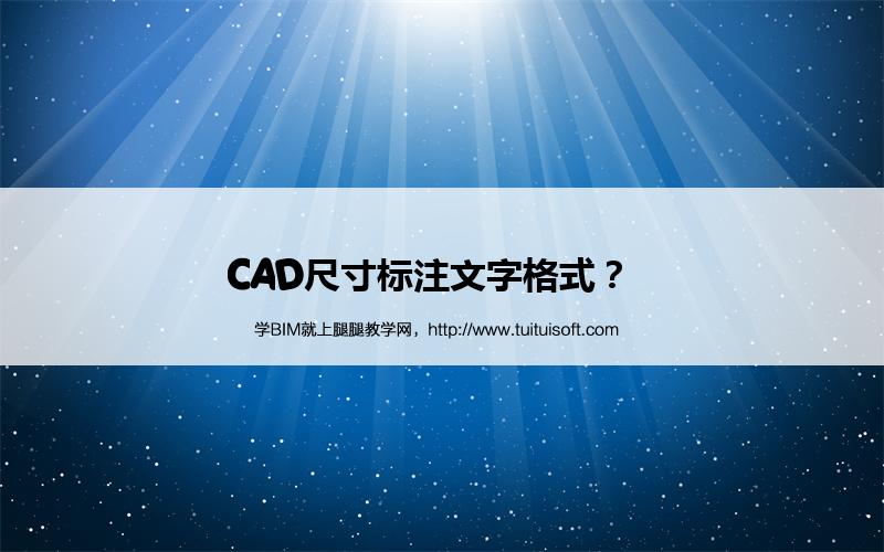 CAD尺寸标注文字格式? 腿腿教学网-CAD尺寸标注文字格式?