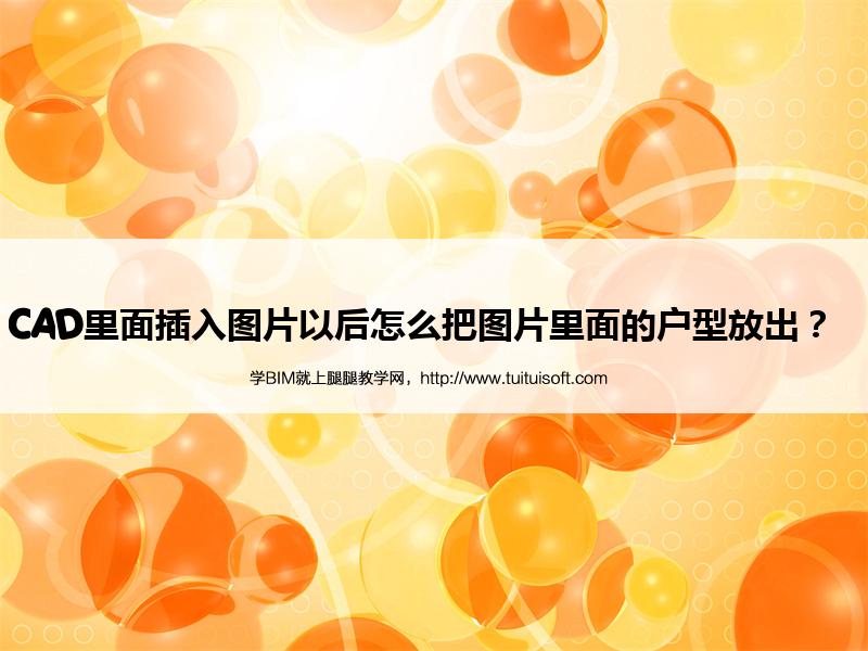 腿腿教学网-CAD里面插入图片以后怎么把图片里面的户型放出？  