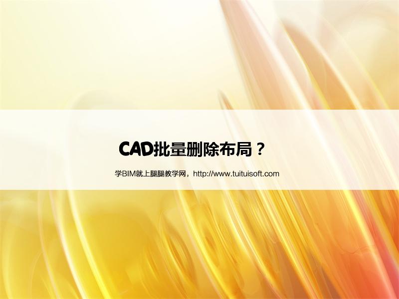 腿腿教学网-CAD批量删除布局？  