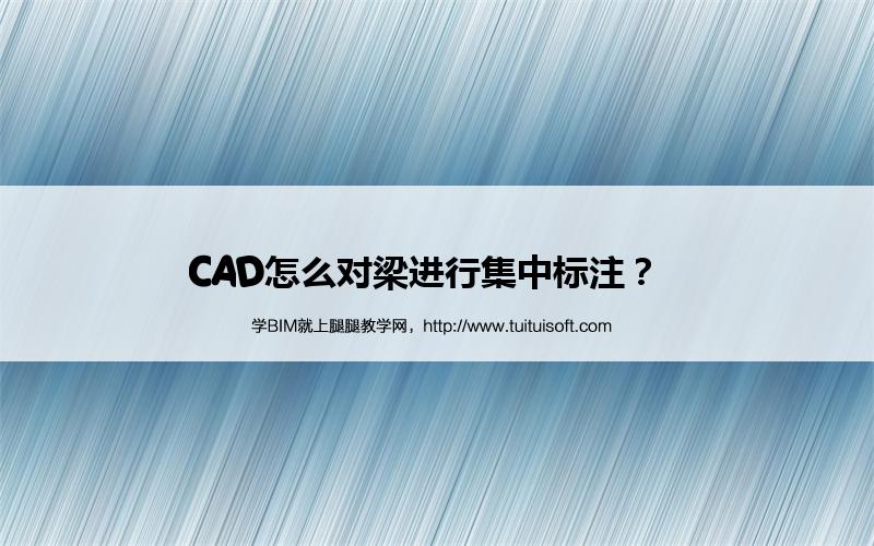 CAD怎么对梁进行集中标注? 腿腿教学网-CAD怎么对梁进行集中标注?