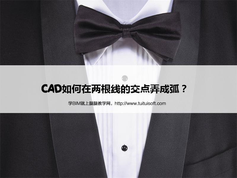 CAD如何在两根线的交点弄成弧? 腿腿教学网-CAD如何在两根线的交点弄成弧?